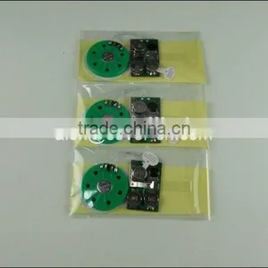 Greeting Card Sound Module thumbnail-1