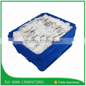 1000L Extra Large Storage Container for Fish, Fish Cooler, Fish Container for Fisheries thumbnail-5
