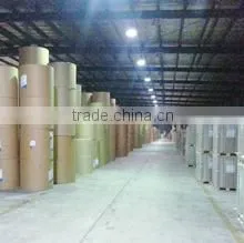 Qingdao Zhongheng Paper Co., Ltd. company overview - view 3 thumbnail