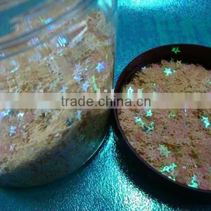 Sequins for Shoes thumbnail-1