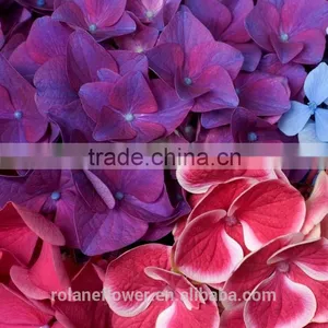 For Christmas Gift Brooch Bouquet Wedding Wedding Bouquets Long From Yunnan, China thumbnail-3