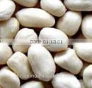 Peanut Kernels,blanched Peanut ,peanut in Shell,roasted Peanut Kernels,roasted Peanut Chopped and Splits,roasted Peanut Inshell thumbnail-2