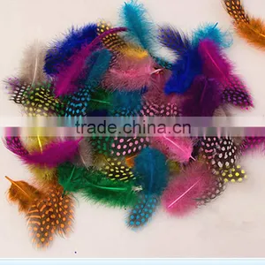 2016 The Colorful / Beautiful Pearl Feather thumbnail-4