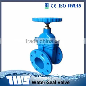 DN 65-DN300 PN16 Resilient Seated Gate Valve(Worm Gear Actuator ) thumbnail-1