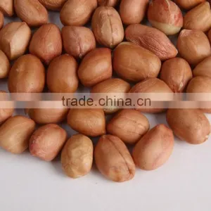 Java Peanuts Suppliers thumbnail-2