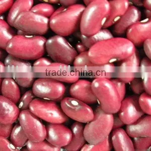Kidney Beans thumbnail-1