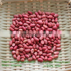 New Production Big Size Blanched Peanut Kernels(ground Nut Seeds) thumbnail-4