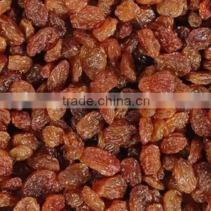GOOD QUALITY INDUSTRIAL RAISIN BEST RATE thumbnail-6