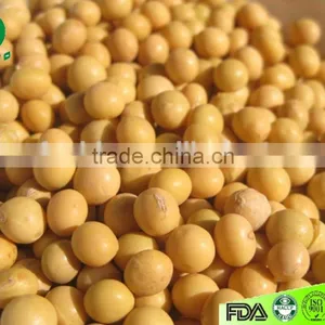 Yellow Soybeans thumbnail-1