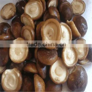 Frozen Mushroom thumbnail-1