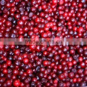 Frozen Lingonberry thumbnail-2
