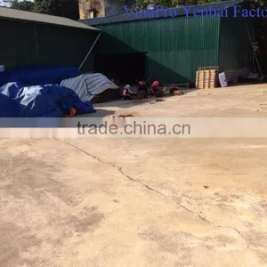 VIETNAMESE SUPPLIER OF BROKEN CINNAMON / CASSIA, GOOD QUALITY, COMPETITIVE PRICE thumbnail-4