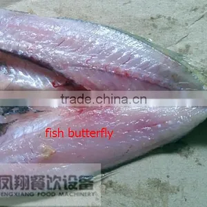 FGB-168 Automatic Fish Processing Machine ,small Yellow Croaker Filleting Machine With High Efficiency thumbnail-6