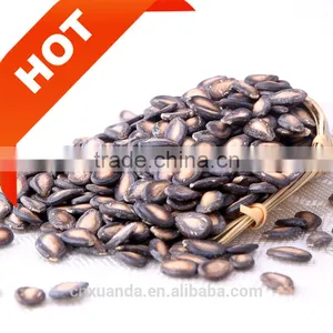 Chinese New Crop Big Size Black Melon Seeds Red Watermelon Seed thumbnail-1