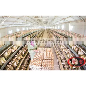 High Quality Poultry 4 Layer Chicken Cages for Poultry Chicken Egg Cages Farm thumbnail-3