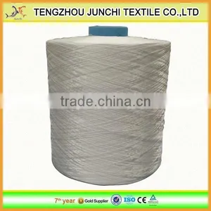 Colors High Tenacity PE Yarn Polyester Filament Yarn for Webbing thumbnail-6