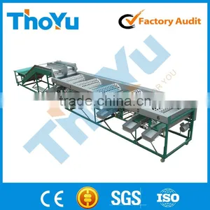 Salable Fresh Garlic Grading Machine 0086 15937167907 thumbnail-1