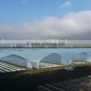 Light Trap for Greenhouse thumbnail-1