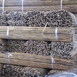Factory Prcie White Fern Screen Fence for Garden thumbnail-2