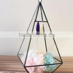 Versatile Clear Glass Hanging Terrarium for Plant thumbnail-1
