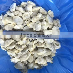 Frozen Shellfish Series Frozen Short Necked Clam (baby Clam) thumbnail-1