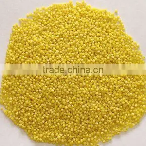 Chinese Millet (yellow) thumbnail-1