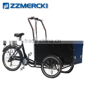 Electric Safety Box Trike With Canopy thumbnail-1