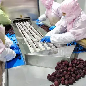 High Efficiency Automatic Fruit Pitting Machine Cherry Pitter Olive Pitter Machine for Fruit Processing Plants thumbnail-1
