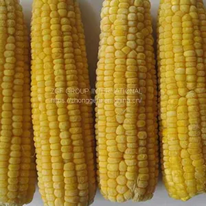 Frozen IQF Frozen Whole Corn thumbnail-1