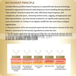 Gold RF Fractional Microneedle Machine Wrinkle Stretch Mark Removal Instrument Skin Tightening Whitening Beauty Device thumbnail-3