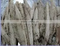 Tuna Loin of Seafood Product Pre-cooked Bonito Tuna Loin thumbnail-1