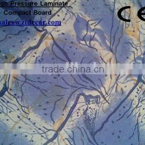 Changzhou Best Price Embossed HPL Flower Design Laminate Sheet/compact Laminate1300*2800/High Pressure Laminate Quality Choice thumbnail-1
