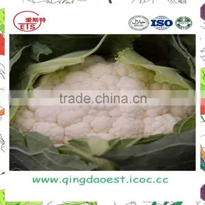 Organic Green Vegetables Fresh Cauliflower From China thumbnail-3