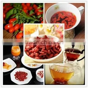 Goji Berries Dried Fruit Goji Berries and Organic Goji Berries thumbnail-1