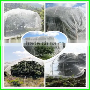 Ultra Fine Insect Netting Garden Crop Veg Protection thumbnail-3