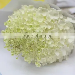 Elegant in Smell Hot-sale Hydrangea Flower for Sale thumbnail-4