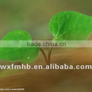 Agriculture Super Absorbent Polymer in Agriculture thumbnail-1