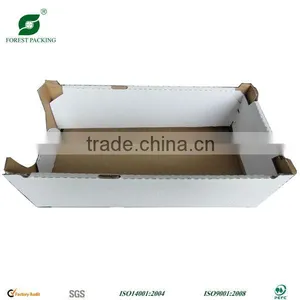 CARDBOARD FRUIT AND VEGETABLE BOX (FP600018) thumbnail-1