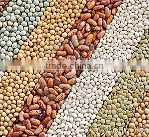 150kg Fast Food Equipment Textured Protein Mini Health Food Machine Factory thumbnail-6