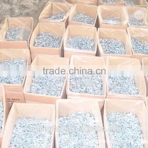 Hot Sale Umbrella Head Roofing Nails From Direct Factory thumbnail-5
