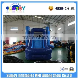 Hot Commercial Grade Cheap Dolphin Water Slide ,28ft Castle Slide thumbnail-6