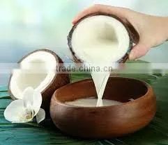 Coconut Milk Produced in Vietnam Fat 22% thumbnail-4