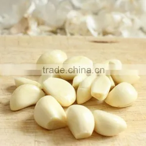 2016 Hot Sale! VSN3000-L600G Monochrome Peeled Garlic Belt Color Sorter With Blue Light thumbnail-1