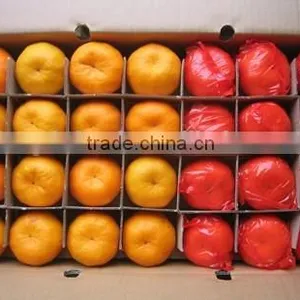 Chinese Fresh Citrus Orange Cheap Selling thumbnail-2