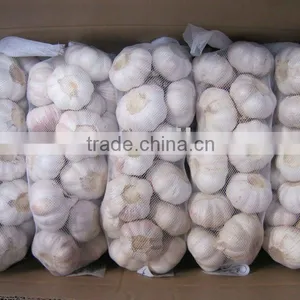 2011 Fresh Garlic thumbnail-1