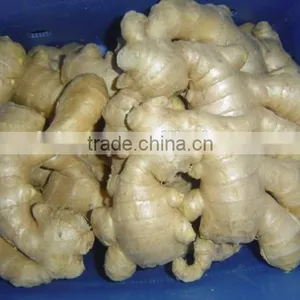 Fresh Air Dry Ginger thumbnail-1