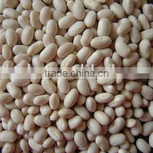 Japanese Type White Kidney Bean thumbnail-1