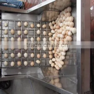 FT-200 High Capacity Boiled Chicken Hen Egg Shelling Breaking Peeling Machine thumbnail-4