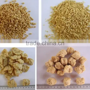 Textured Soy Protein Non-GMO for Food Processing thumbnail-1