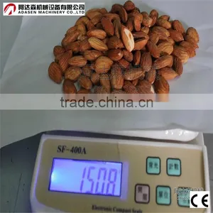 Industrial Continuous Sunflower Seed Roasting Machine/hazelnut Roasting Oven thumbnail-4